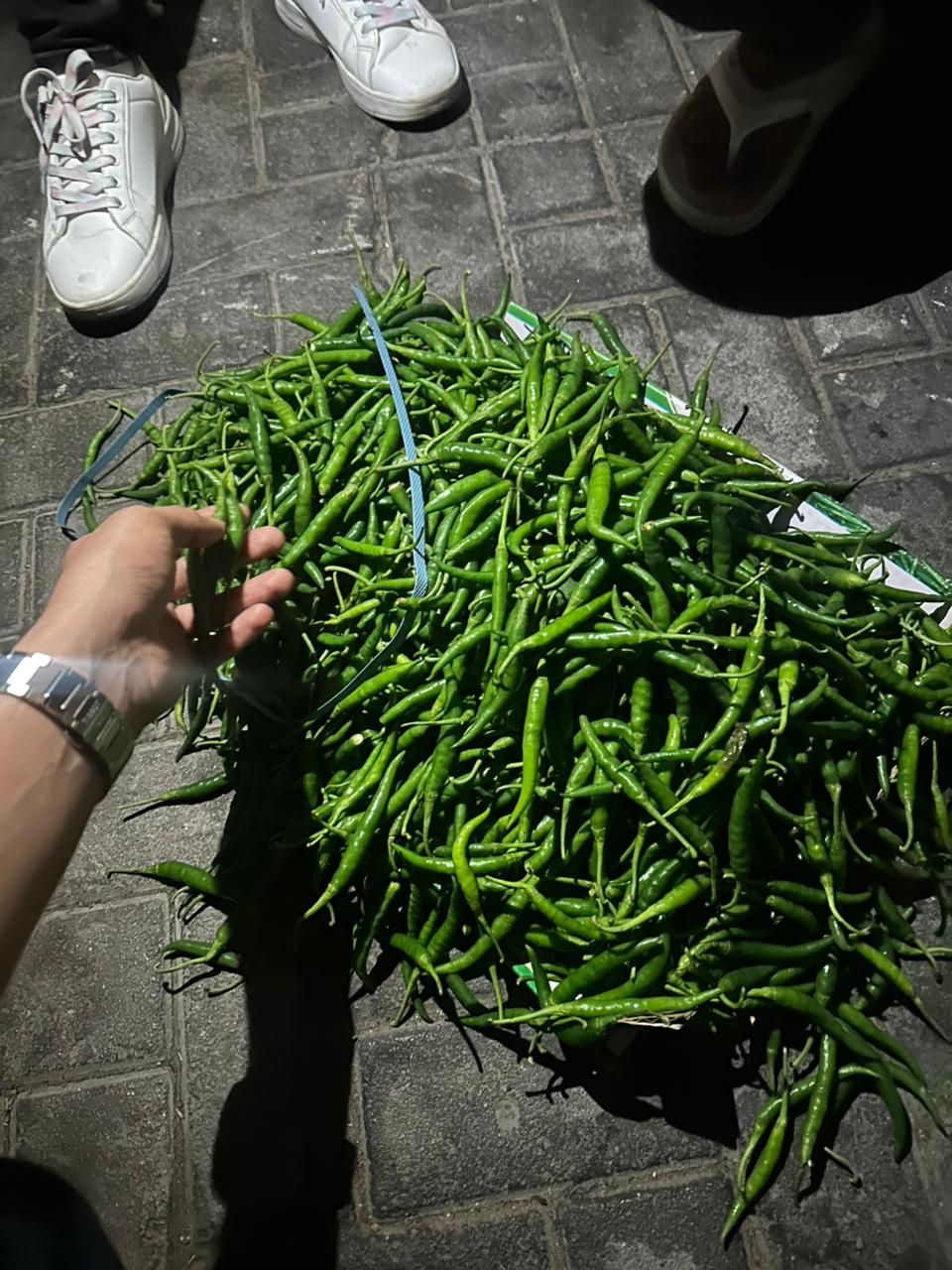 Chilli logistics project photo 1