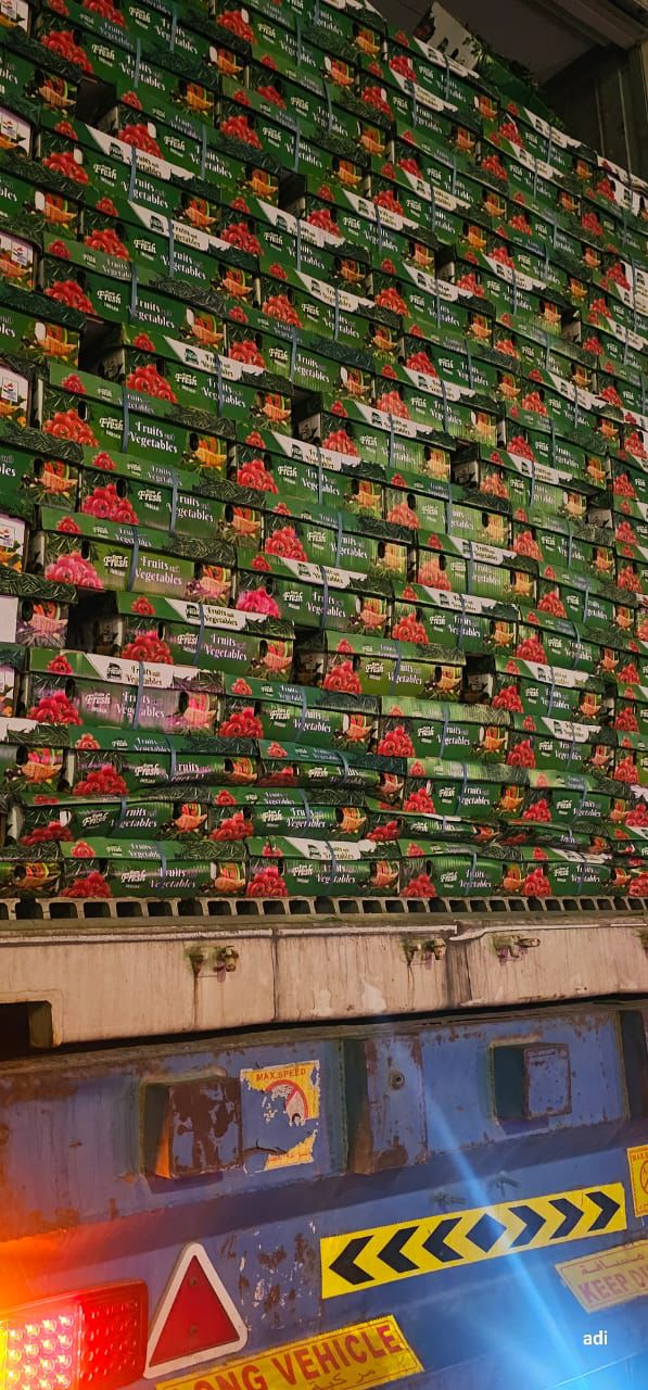 Chilli logistics project photo 2