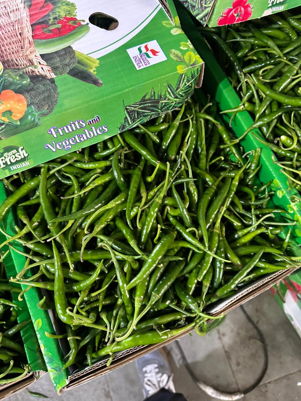 Chilli logistics project photo 4