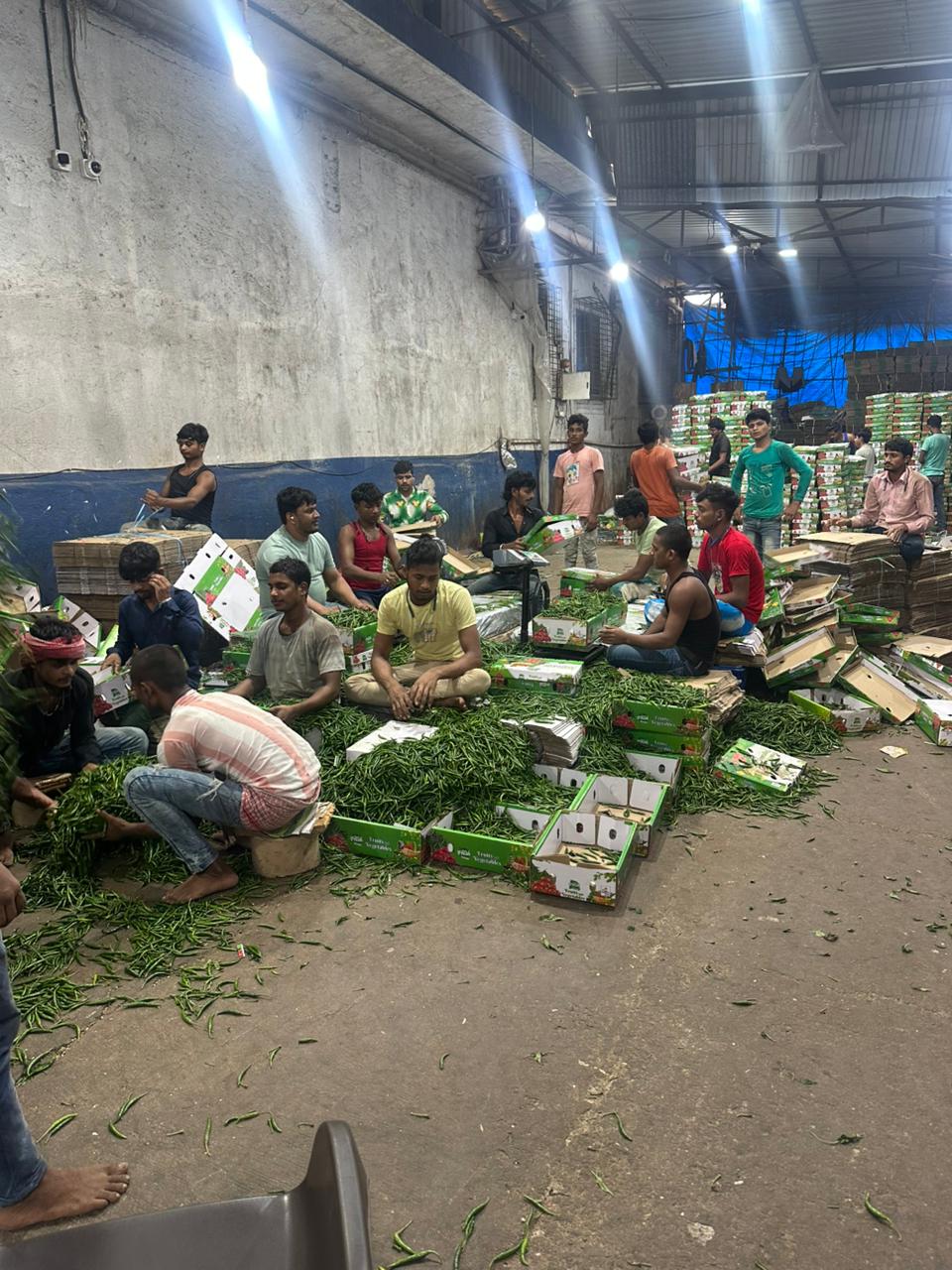 Chilli logistics project photo 5