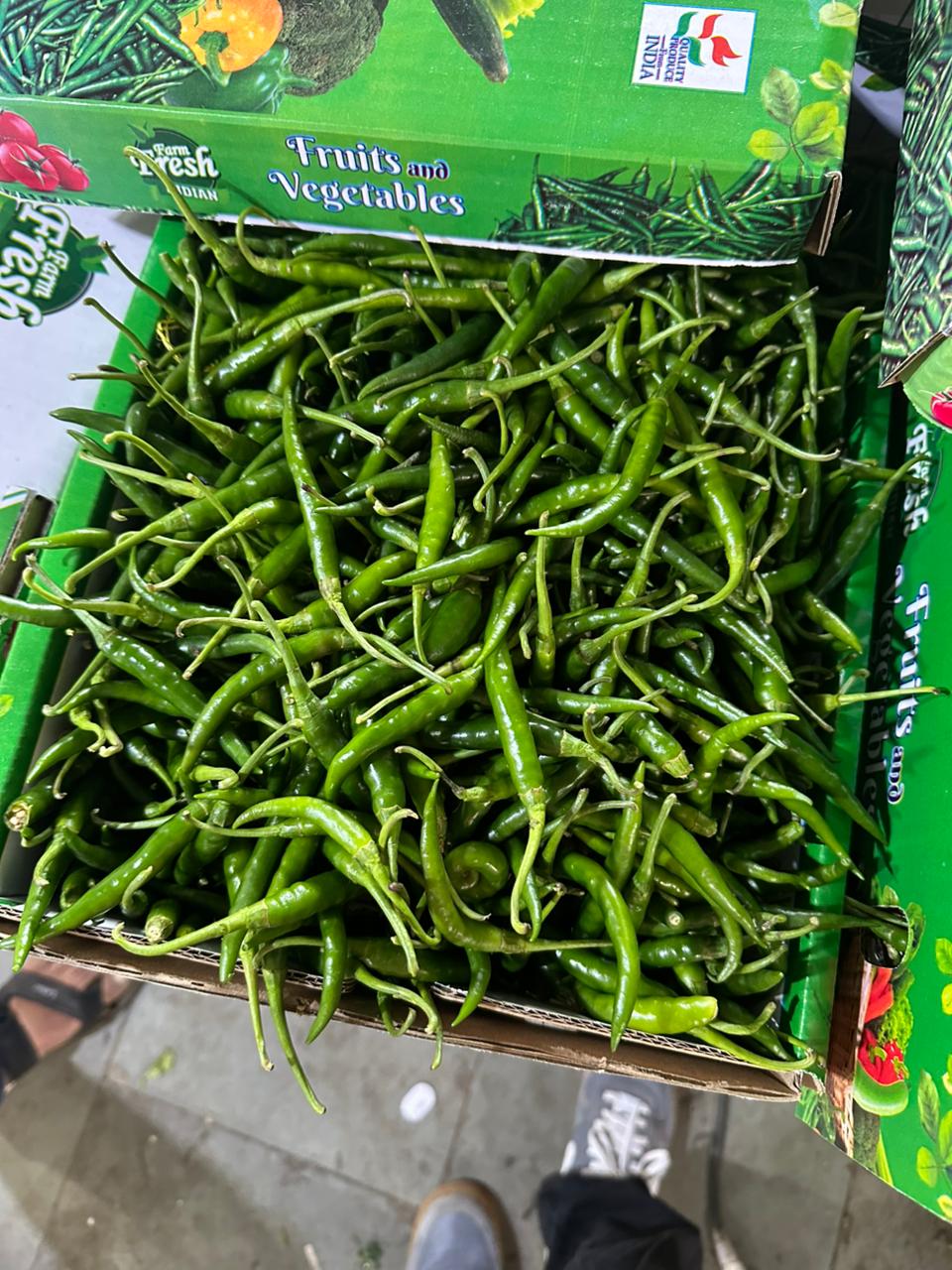 Chilli logistics project photo 6