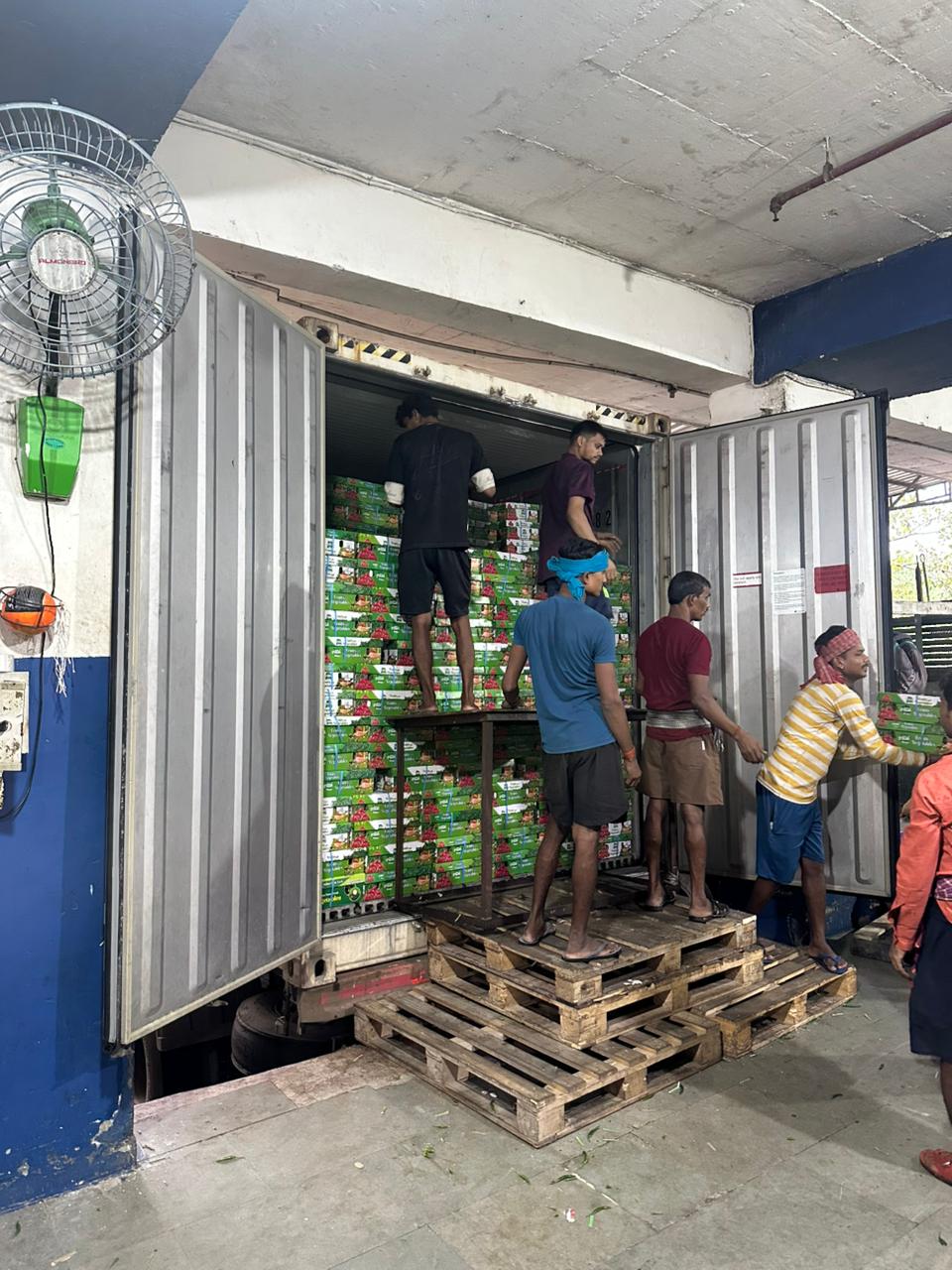 Chilli logistics project photo 7
